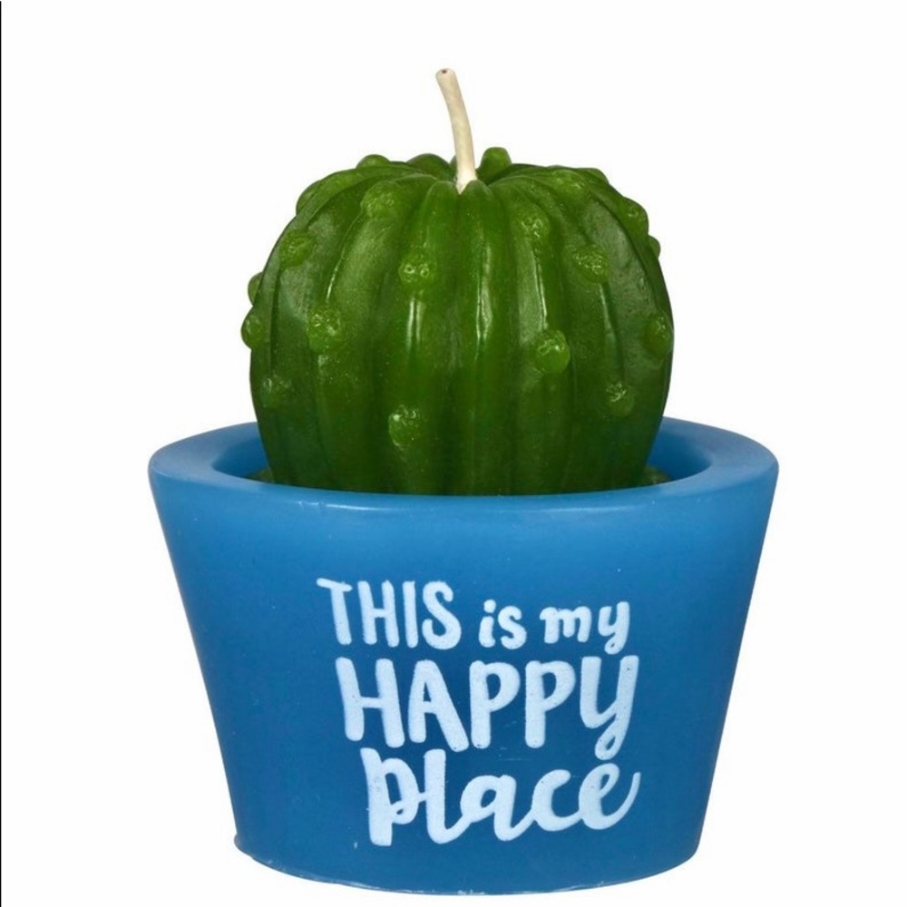 💚3/20$5/25💚MINI CACTUS CANDLE this is my happy place 🌵